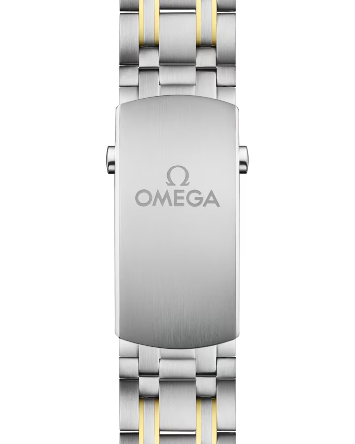 Omega Seamaster Diver 300M Watch 210.20.42.20.01.002