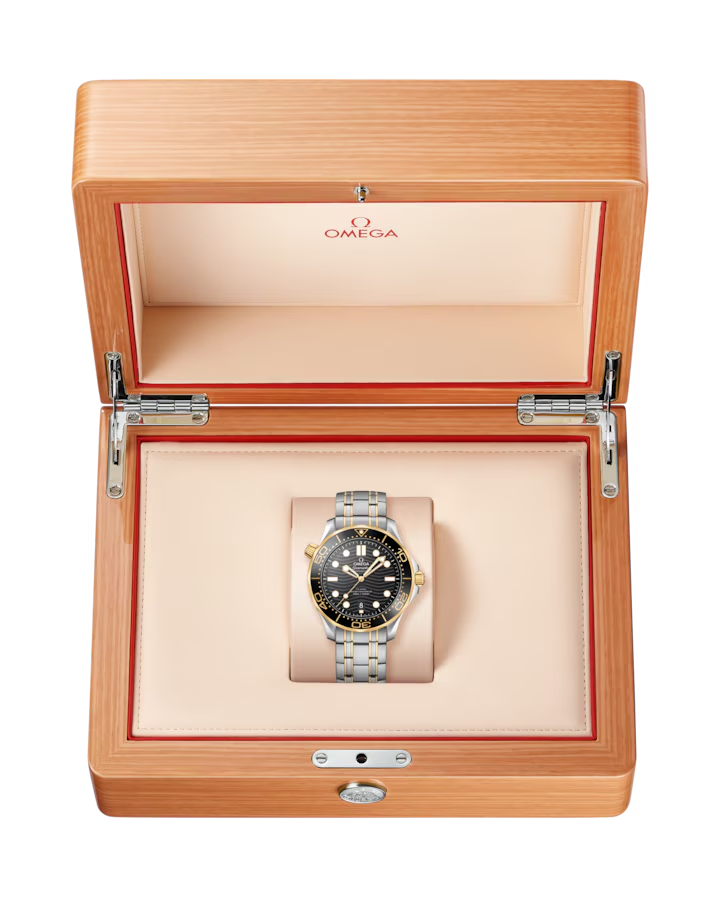 Omega Seamaster Diver 300M Watch 210.20.42.20.01.002