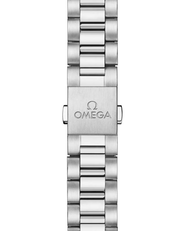 Omega Seamaster Aqua Terra 150M Collection Watch 220.10.38.20.01.005