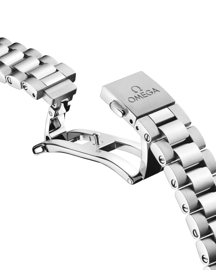 Omega Seamaster Aqua Terra 150M Collection Watch 220.10.38.20.01.005