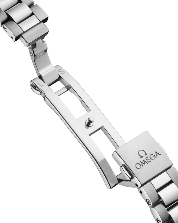 Omega Seamaster Aqua Terra 150M Collection Watch 220.10.38.20.01.005