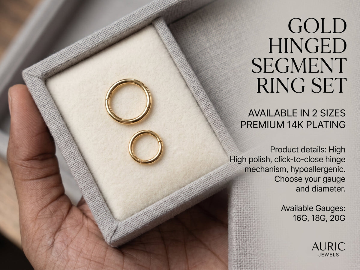2 in 1 Gold Hinged nose ring Segment Ring Set